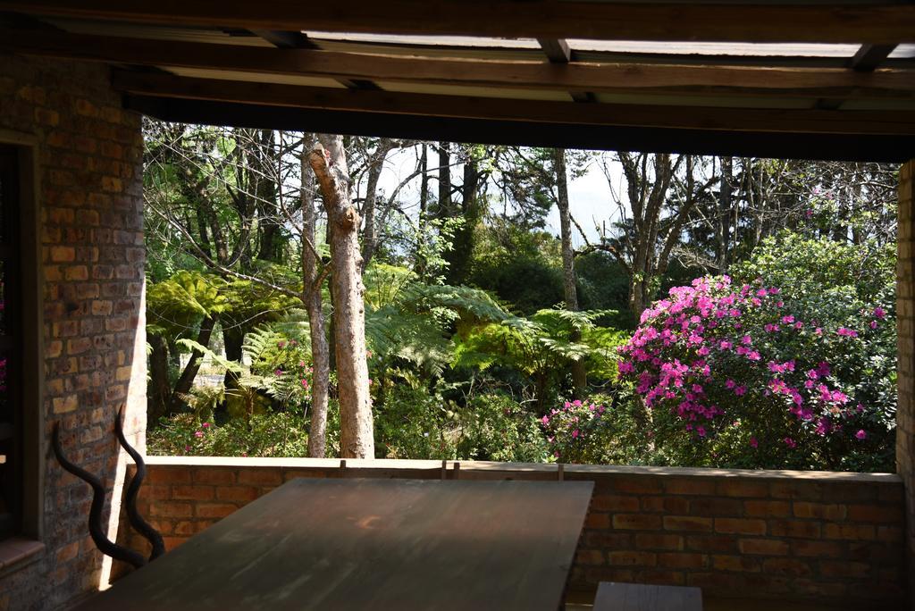 Molly'S Cottage Graskop Exteriér fotografie